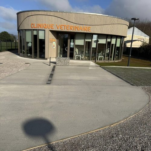 487237016_1292615419419280_6736082563901544735_n